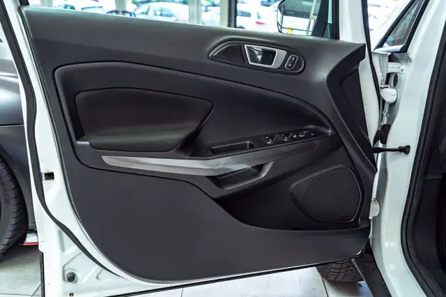 Ford Ecosport view 14