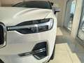 Volvo XC60 XC60 II 2021 2.0 b4 Inscription awd auto Bianco - thumbnail 5