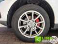 Audi Q5 2.0 tdi 163 CV S-Tronic Quattro Business E6 Blanc - thumbnail 21