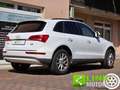 Audi Q5 2.0 tdi 163 CV S-Tronic Quattro Business E6 Blanc - thumbnail 22