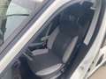Fiat Doblo CARGO 1.6 MJET 16V 105CV N1 AUTOCARRO Bianco - thumbnail 8