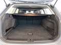 Volkswagen Passat Variant Business TDI DSG Grau - thumbnail 8