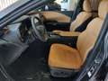 Lexus RX 450h + Executive Panorama Gris - thumbnail 14