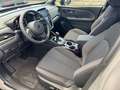Subaru Forester 2.0 ie 100kW AWD Active Grau - thumbnail 9