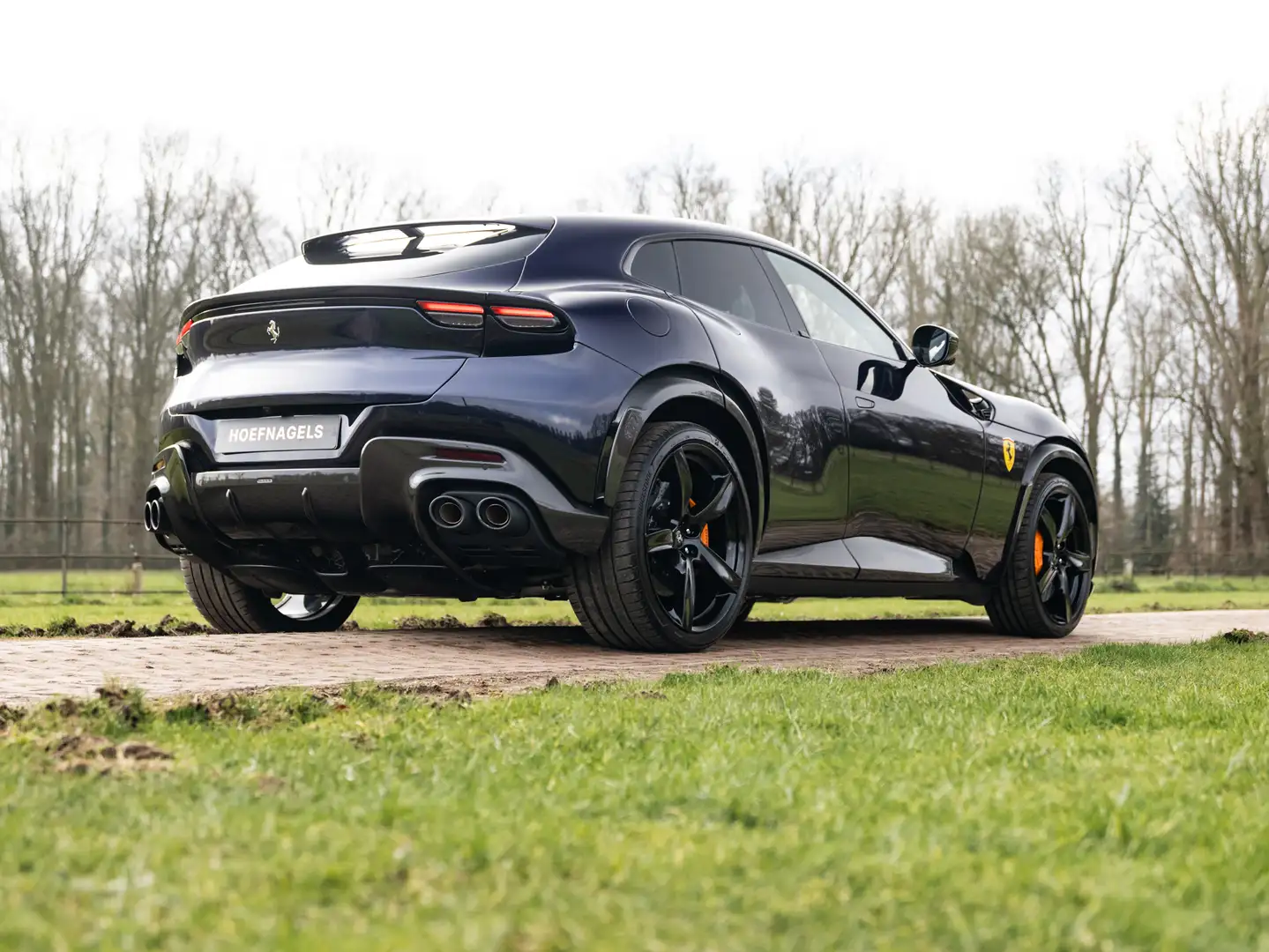 Ferrari Purosangue 6.5 V12, Full Carbon, Burmester, Atelier, Massage, - 2