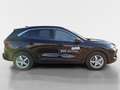 Ford Kuga Titanium 1.5 EcoBoost Automatik Schwarz - thumbnail 16