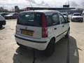 Fiat Panda 1.2 Panda Aardgas Wit - thumbnail 3