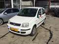 Fiat Panda 1.2 Panda Aardgas Wit - thumbnail 2