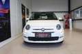 Fiat 500 Lounge Panoramadach Klima Einparkhilfe Weiß - thumbnail 3
