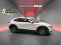 Mazda CX-30 2.5 e-Skyactiv-G Prime Line FWD Aut. 103kW Weiß - thumbnail 23