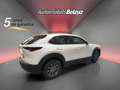 Mazda CX-30 2.5 e-Skyactiv-G Prime Line FWD Aut. 103kW Weiß - thumbnail 6