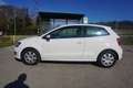 Volkswagen Polo "So wie Du ihn willst" 1,2 Weiß - thumbnail 3