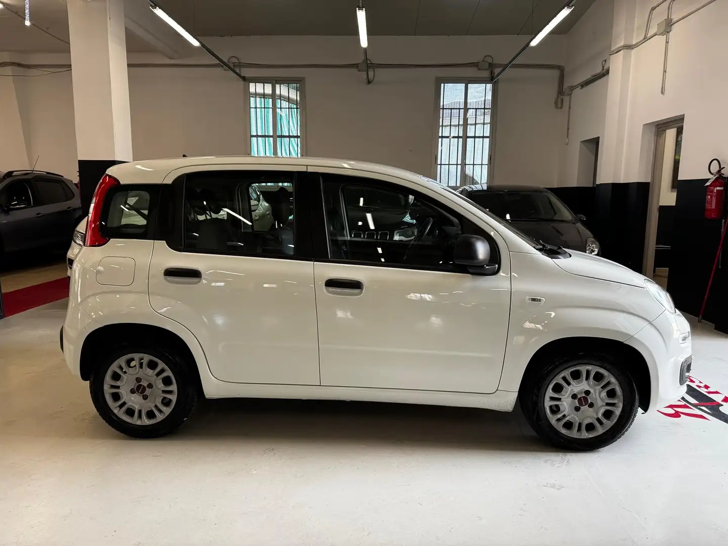 Fiat Panda Panda III 2016 1.3 mjt 16v Easy s - 2