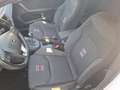 SEAT Ibiza 1.0 TSI FR LED Climatr. SHZ LM Navi PDC Weiß - thumbnail 8