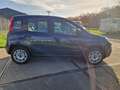 Fiat Panda 1.2 Lounge Blau - thumbnail 11