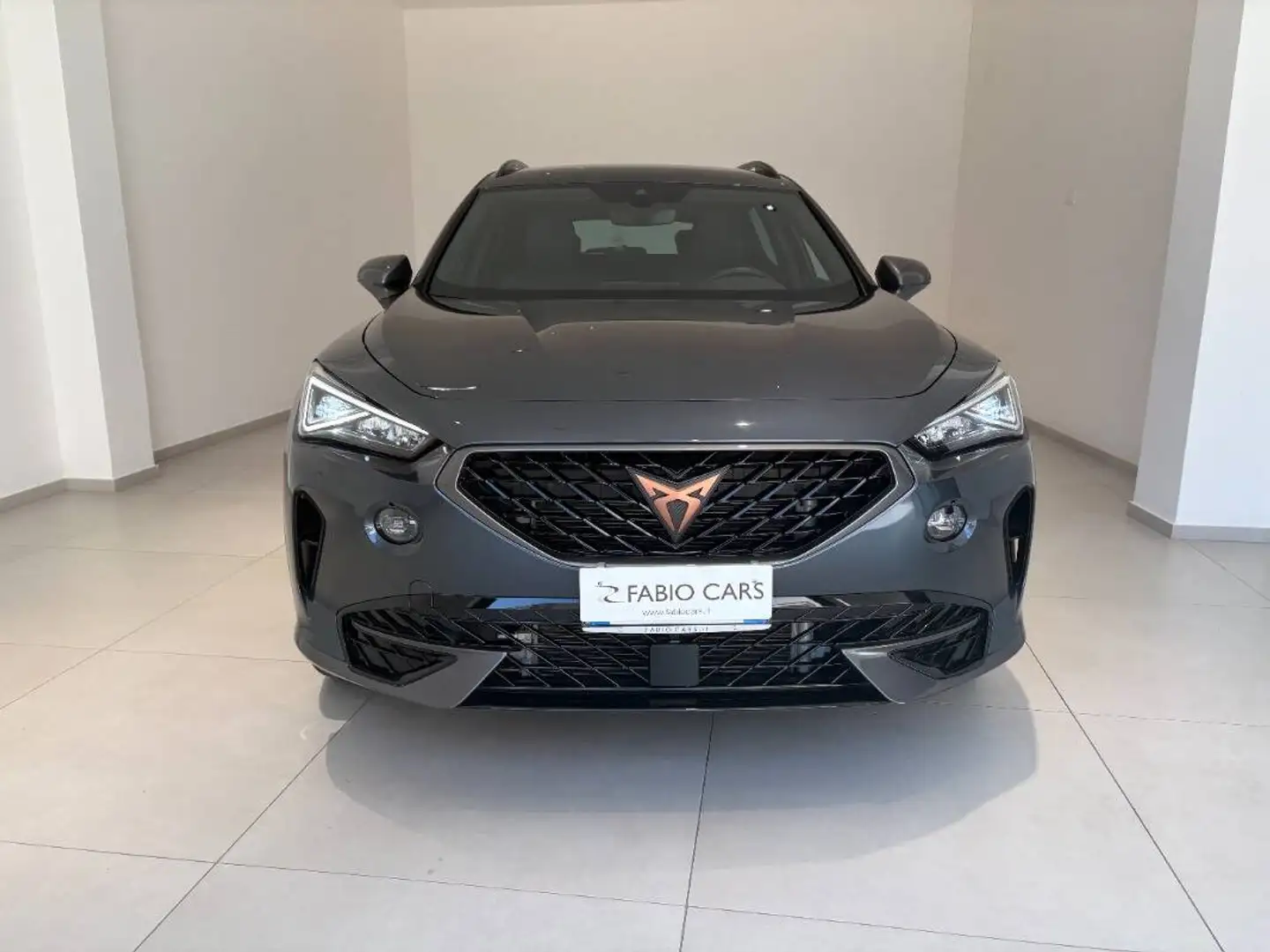CUPRA Formentor 2.0 tdi 4drive 150cv dsg Grigio - 2