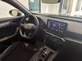 CUPRA Formentor 2.0 tdi 4drive 150cv dsg Gris - thumbnail 12