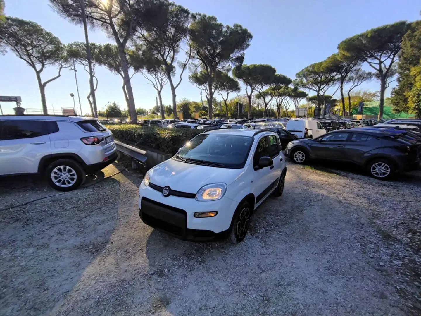 Fiat Panda 1.0cc HYBRID GSE CITYLIFE 70cv BLUETOOTH Bianco - 1
