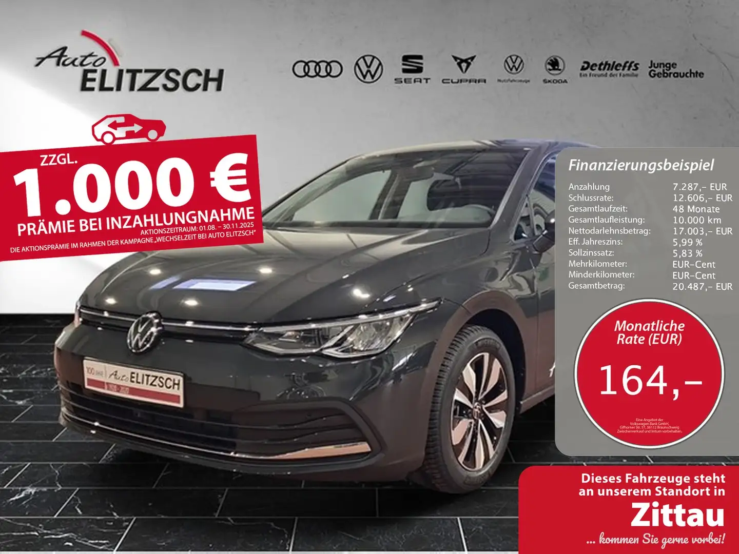 Volkswagen Golf VIII TSI Move LED AID RFK SH LM Grau - 1