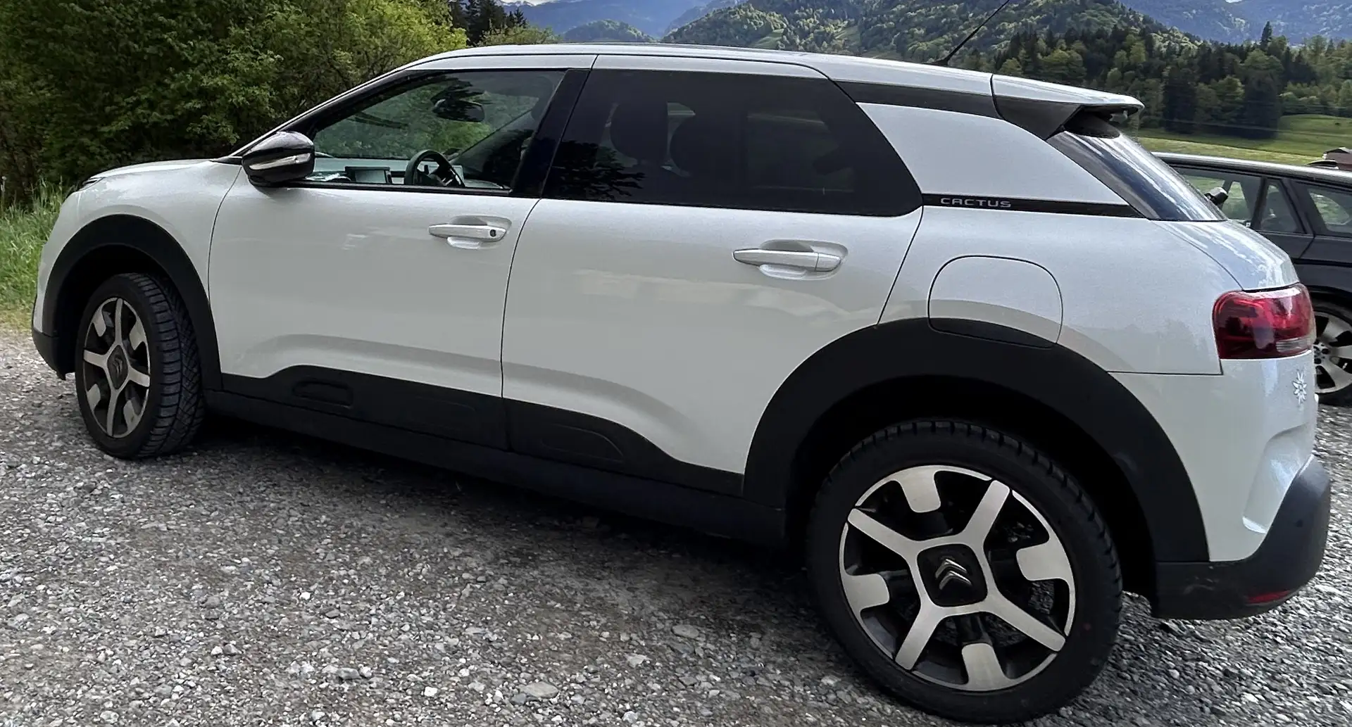 Citroen C4 Cactus C4 Cactus PureTech 130 Stop - 1