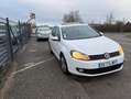 Volkswagen Golf VI 2.0 TDI 110ch Blanc - thumbnail 3