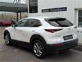 Mazda CX-30 G122 Comfort+/ST Weiß - thumbnail 5