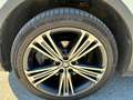 SEAT Tarraco Tarraco 2,0 TDI Xcellence DSG 4DriveXcellence Weiß - thumbnail 14
