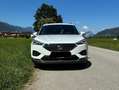 SEAT Tarraco Tarraco 2,0 TDI Xcellence DSG 4DriveXcellence Weiß - thumbnail 4