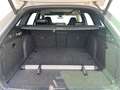 Skoda Superb Combi 2.0 TSI DSG 4x4 Sportline AHK*PANO*STHZG*... Weiß - thumbnail 10