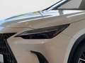 Lexus NX 450h+ NX450h+ 2.5 Plug-In E-FOUR Luxury-Paket HUD Weiß - thumbnail 14