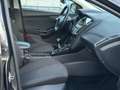 Ford Focus Wagon 1.0 TitaniumNAVI/CAMERA/CRUISE Gris - thumbnail 11