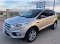 Ford Kuga 1.5 tdci Business s&s 2wd 120cv my18 Argento - thumbnail 1