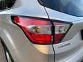 Ford Kuga 1.5 tdci Business s&s 2wd 120cv my18 Argento - thumbnail 9