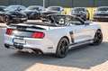 Ford Mustang 2,3 Ecoboost GT 500 SHELBY PREMIUM Weiß - thumbnail 18