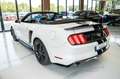Ford Mustang 2,3 Ecoboost GT 500 SHELBY PREMIUM Weiß - thumbnail 4