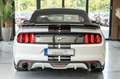 Ford Mustang 2,3 Ecoboost GT 500 SHELBY PREMIUM Weiß - thumbnail 10