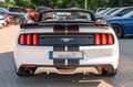 Ford Mustang 2,3 Ecoboost GT 500 SHELBY PREMIUM Weiß - thumbnail 19