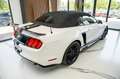 Ford Mustang 2,3 Ecoboost GT 500 SHELBY PREMIUM Weiß - thumbnail 7