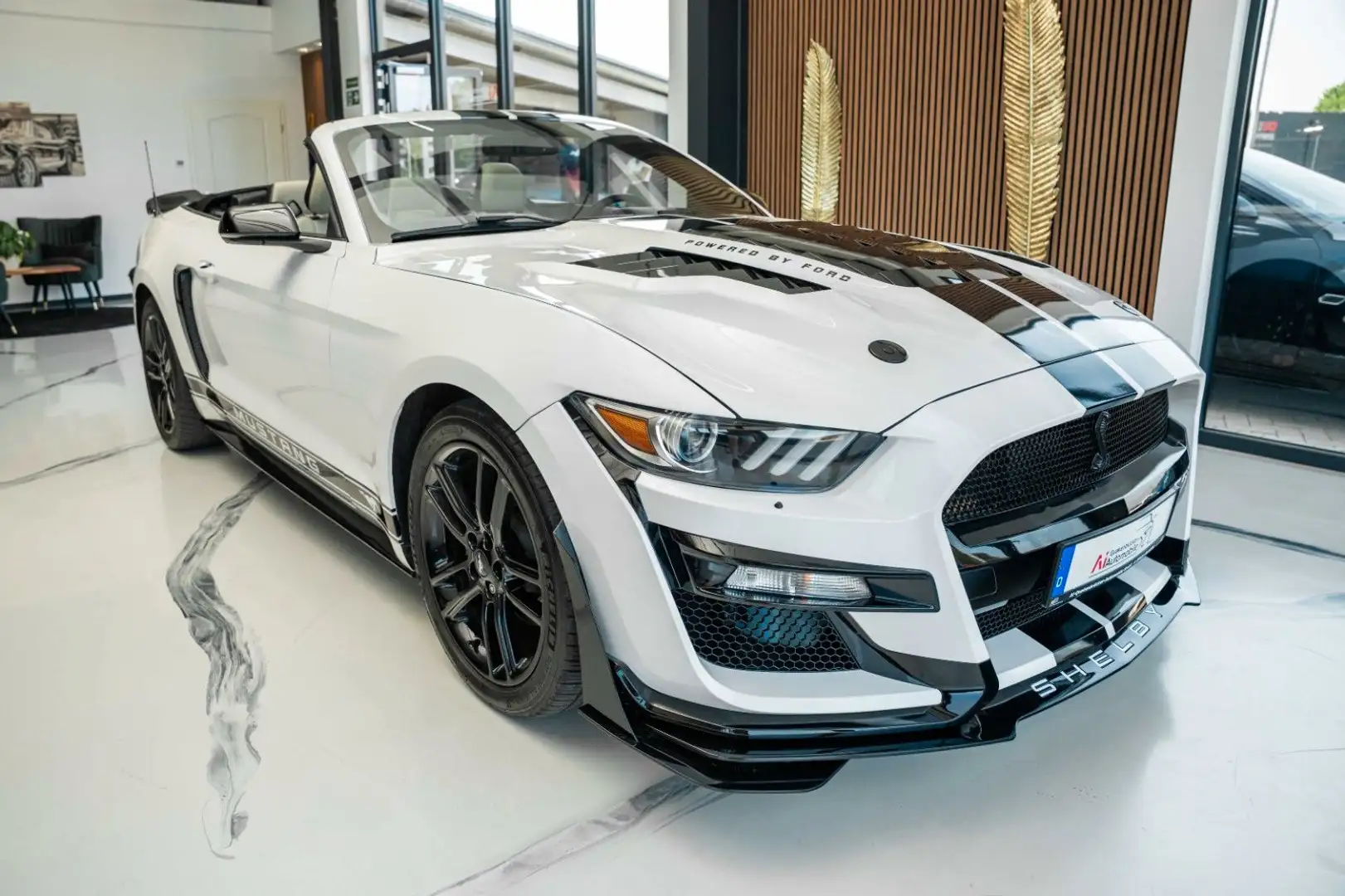 Ford Mustang 2,3 Ecoboost GT 500 SHELBY PREMIUM Weiß - 1