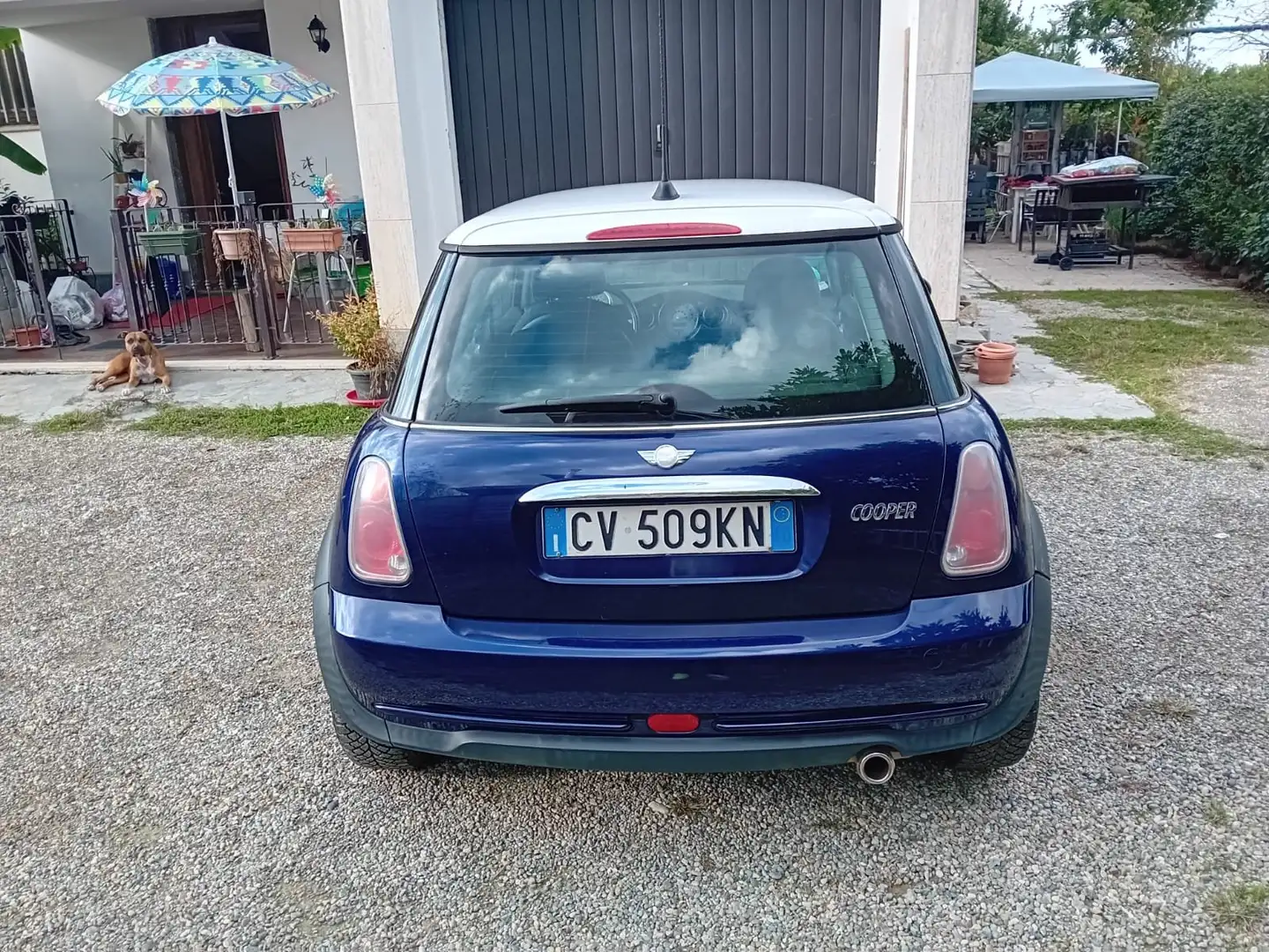 MINI Cooper Blu/Azzurro - 2