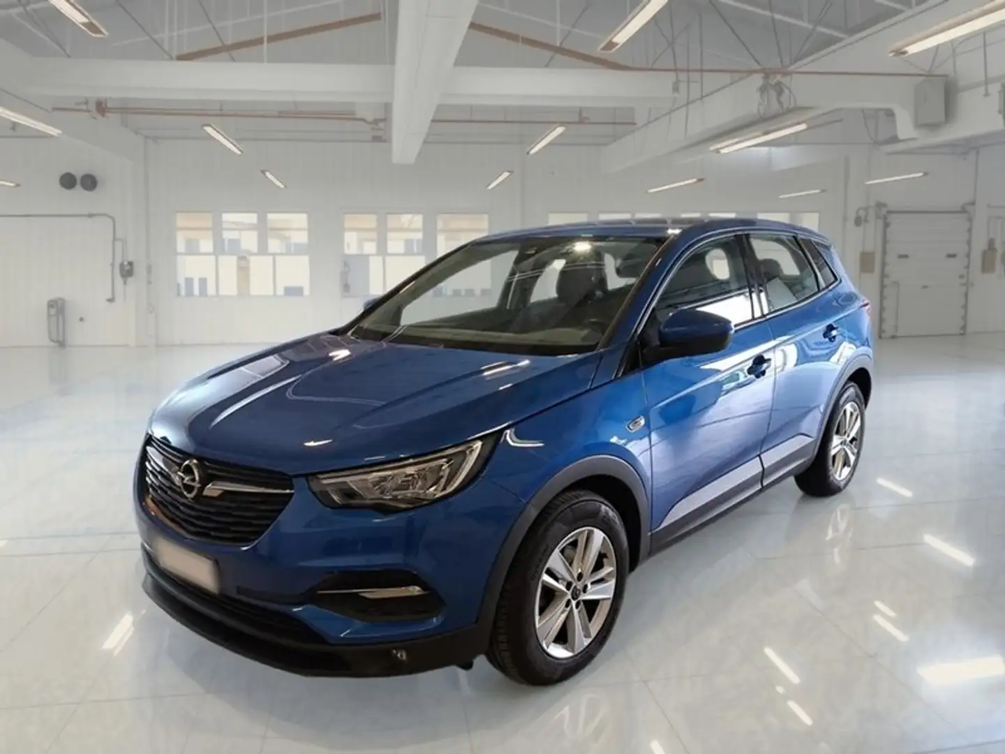 Opel Grandland X 1.5 Ecotec Diesel 130cv Business S&S AT8 - 1