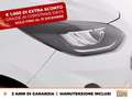 Ford Fiesta 5p 1.0 ecoboost h titanium 125cv Bianco - thumbnail 14