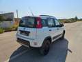 Fiat Panda 1.3 MJT 95 CV S&S 4x4 AUTOVETTURA Wit - thumbnail 5