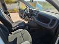 Fiat Panda 1.3 MJT 95 CV S&S 4x4 AUTOVETTURA Wit - thumbnail 12
