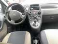 Fiat Panda Panda 1.2 NEOPATENTATI OK , ANCHE SENZA ANTICIPO - thumbnail 6
