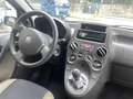 Fiat Panda Panda 1.2 NEOPATENTATI OK , ANCHE SENZA ANTICIPO - thumbnail 5