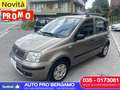Fiat Panda Panda 1.2 NEOPATENTATI OK , ANCHE SENZA ANTICIPO - thumbnail 1