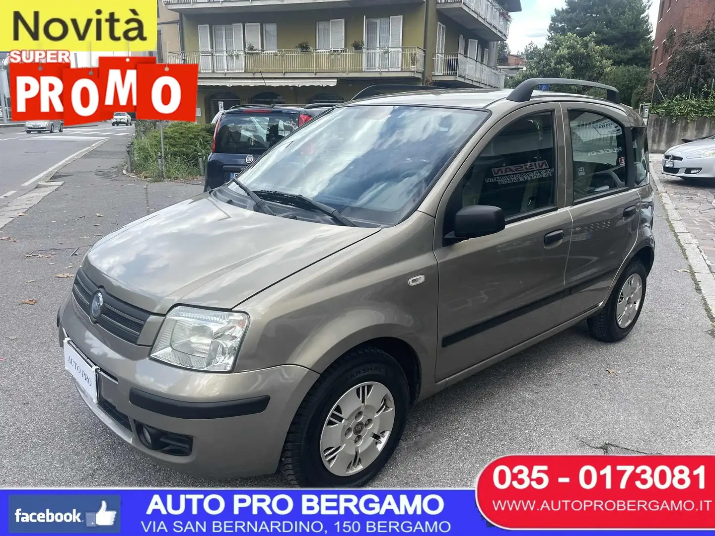 Fiat Panda Panda 1.2 NEOPATENTATI OK , ANCHE SENZA ANTICIPO - 1