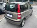Fiat Panda Panda 1.2 NEOPATENTATI OK , ANCHE SENZA ANTICIPO - thumbnail 4