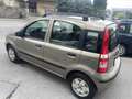 Fiat Panda Panda 1.2 NEOPATENTATI OK , ANCHE SENZA ANTICIPO - thumbnail 3